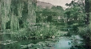 Waterlily Pond and Japanese Bridge in Monet
